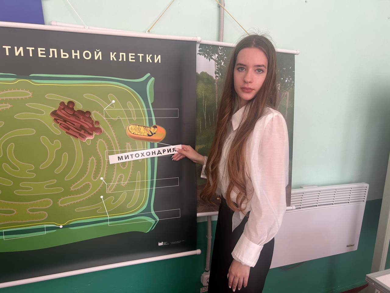 Кабинет биологии